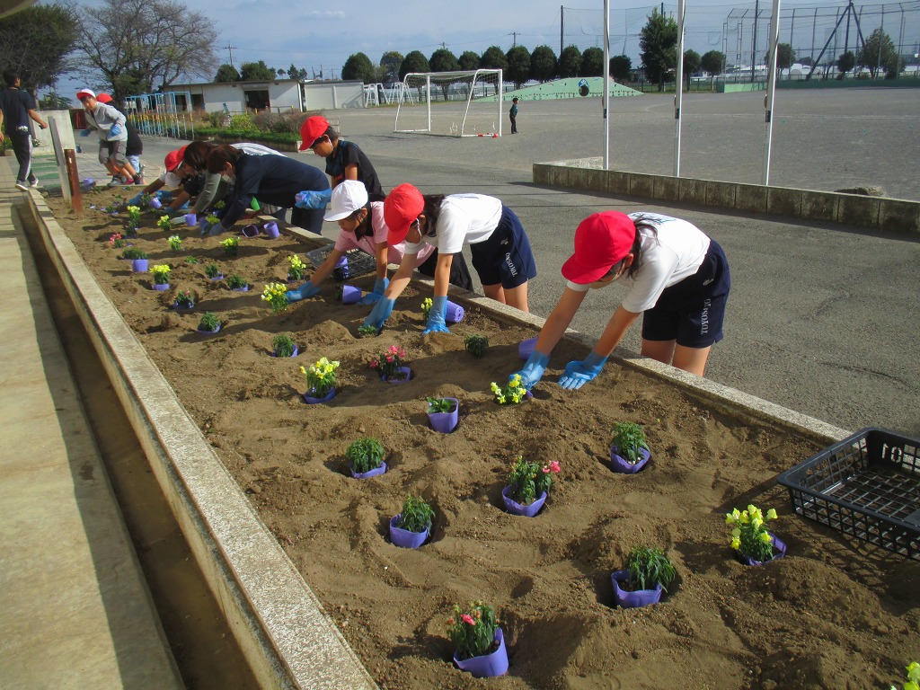 豊里小学校