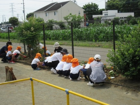 おかべ幼稚園