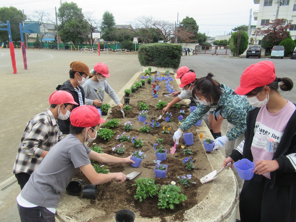 藤沢小学校