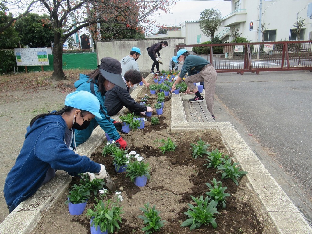 藤沢小学校