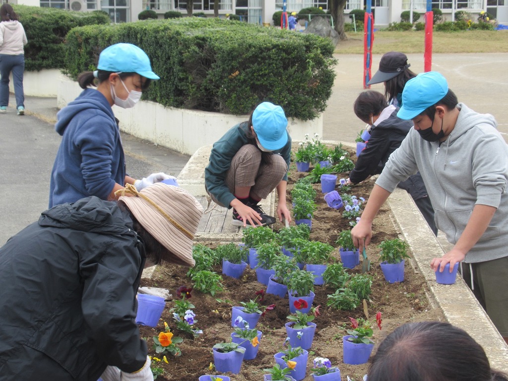 藤沢小学校