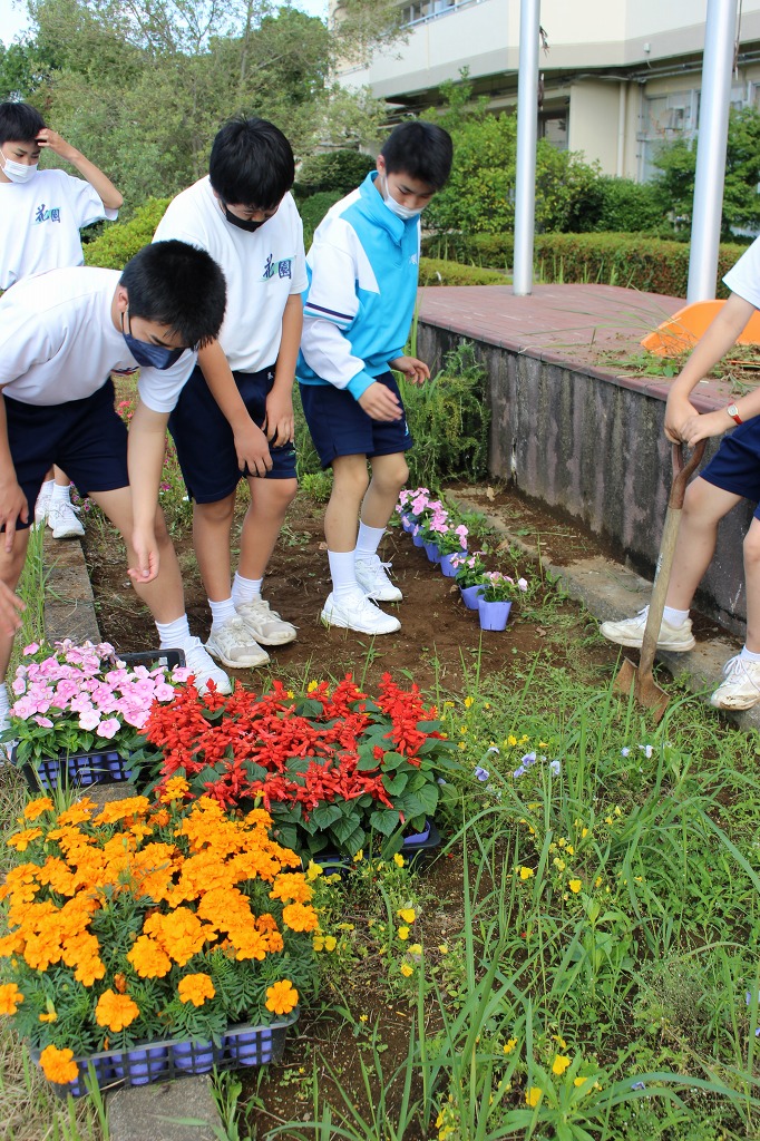 花園中学校