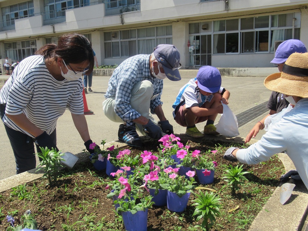 藤沢小学校