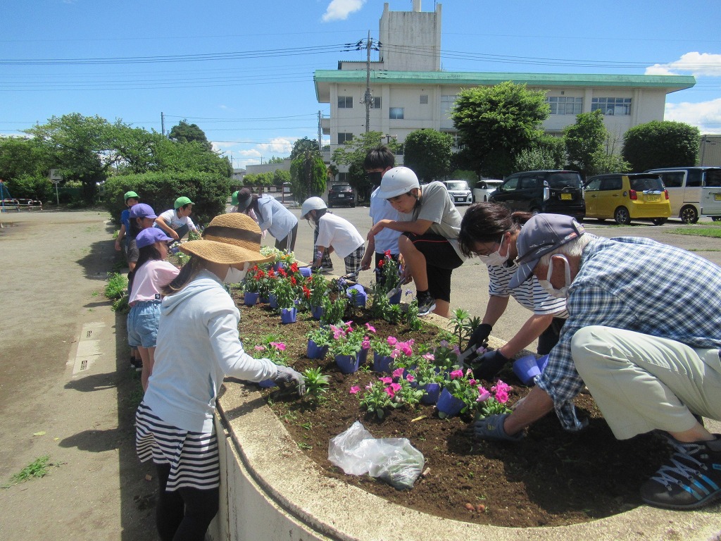 藤沢小学校