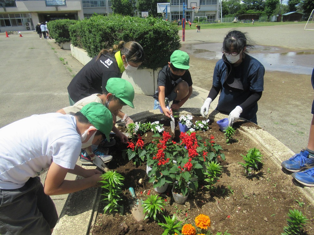 藤沢小学校