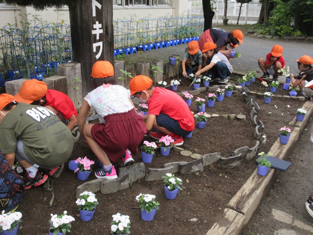常盤小学校
