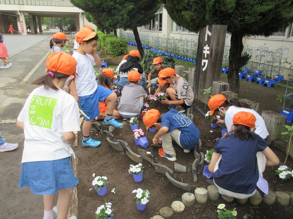 常盤小学校