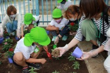 上柴西幼稚園