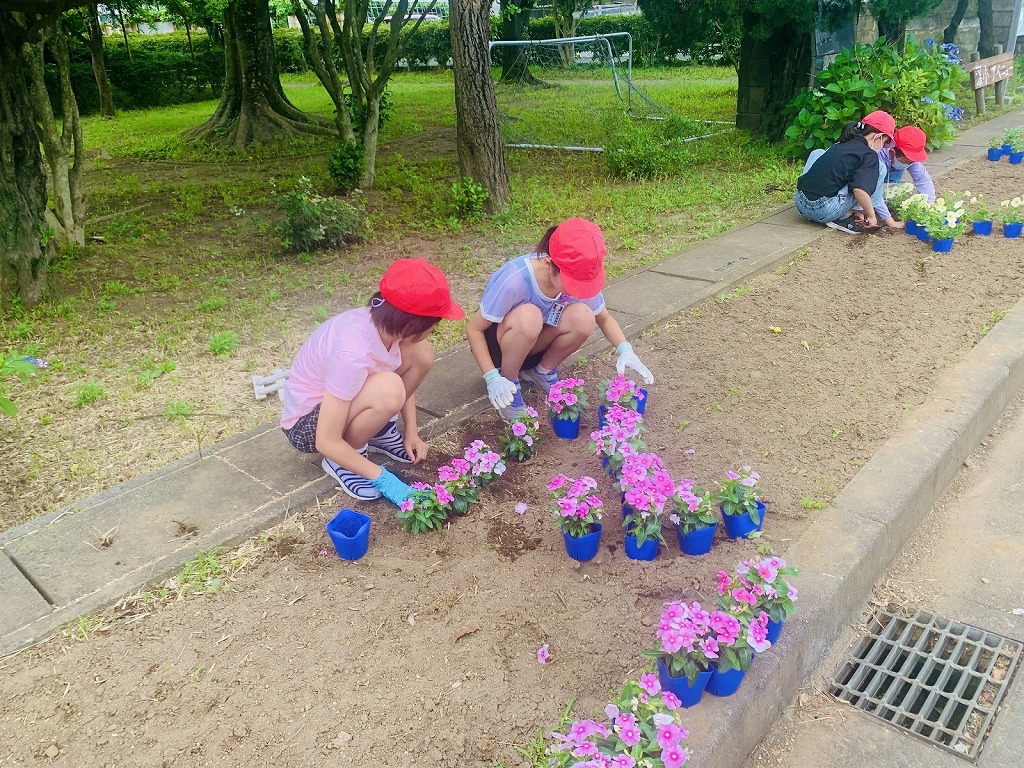 深谷小学校