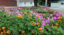 本郷小学校