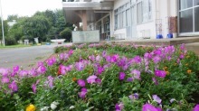 本郷小学校