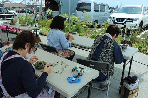 多肉植物のリース