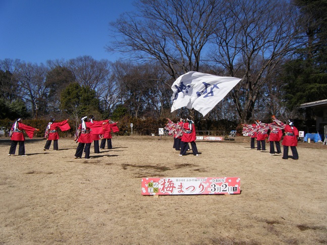 和太鼓とよさこいソーラン