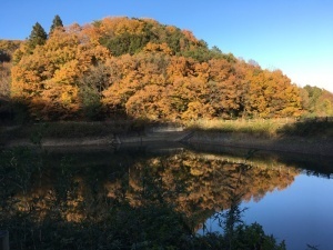 紅葉に色づく鐘撞堂山