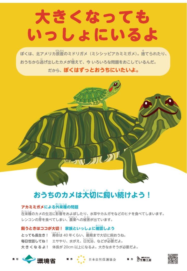 アカミミガメ（ミドリガメ）、アメリカザリガニについて／深谷市