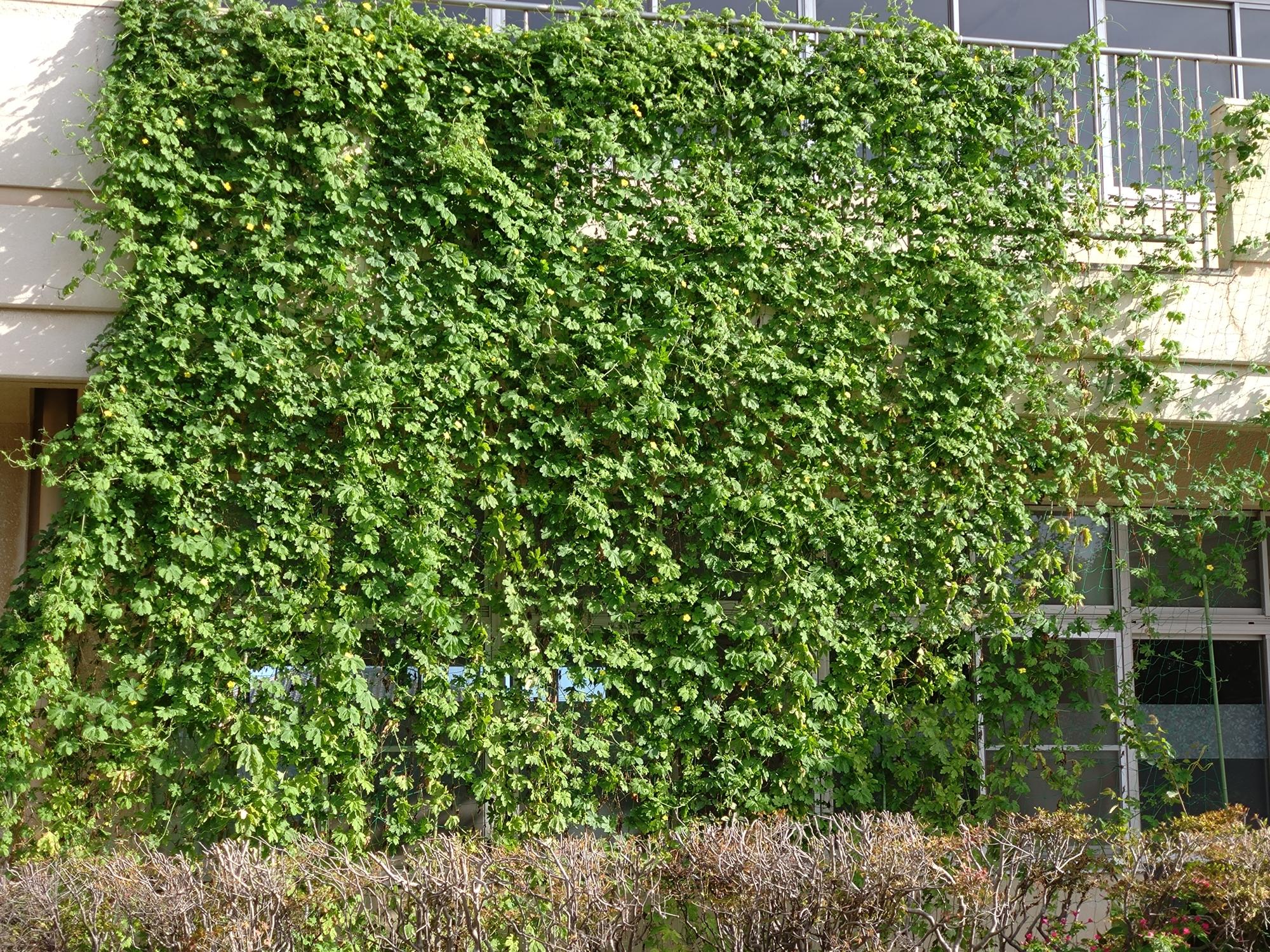 優秀賞 深谷小学校