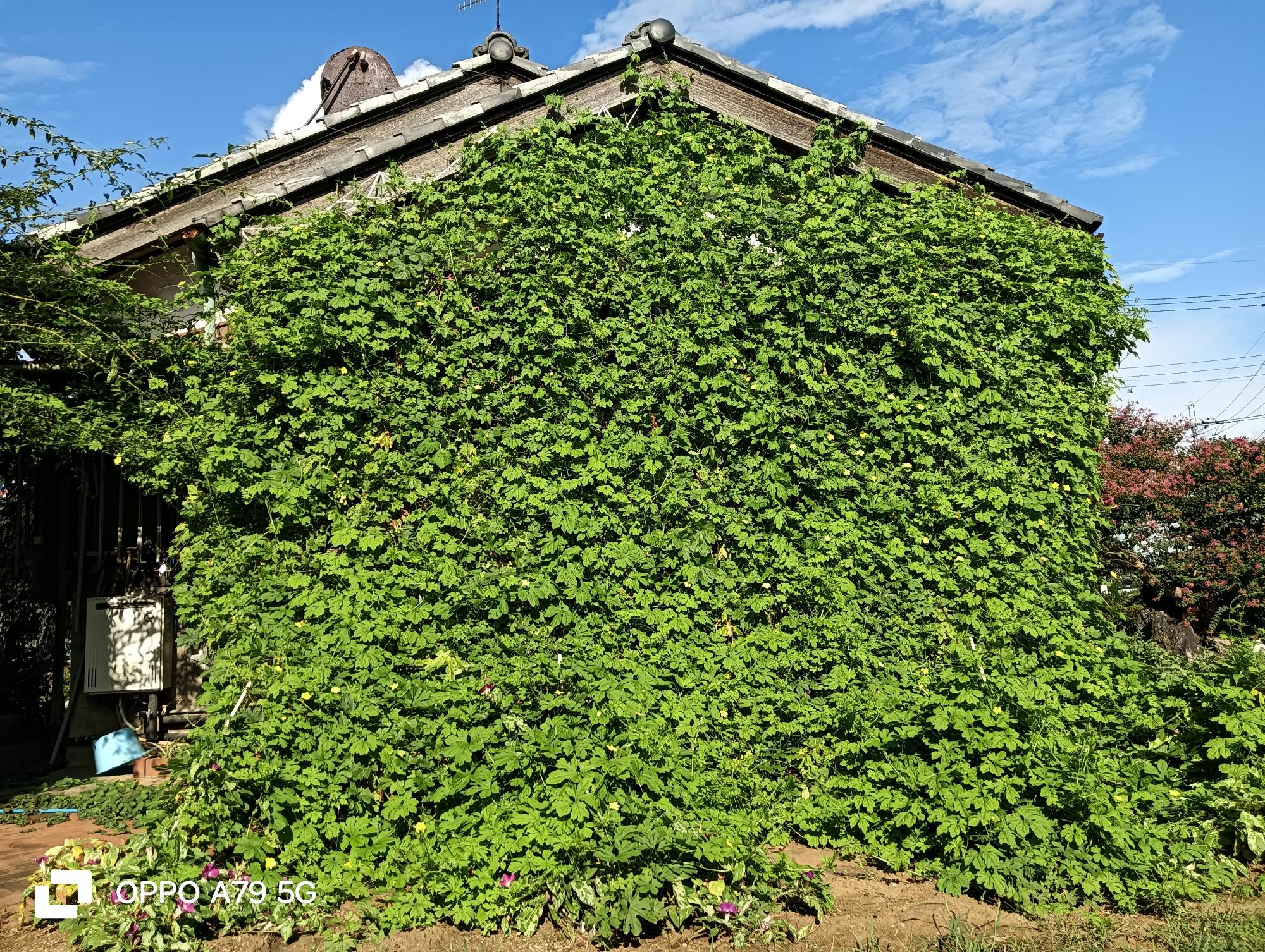 最優秀賞 野口和彦