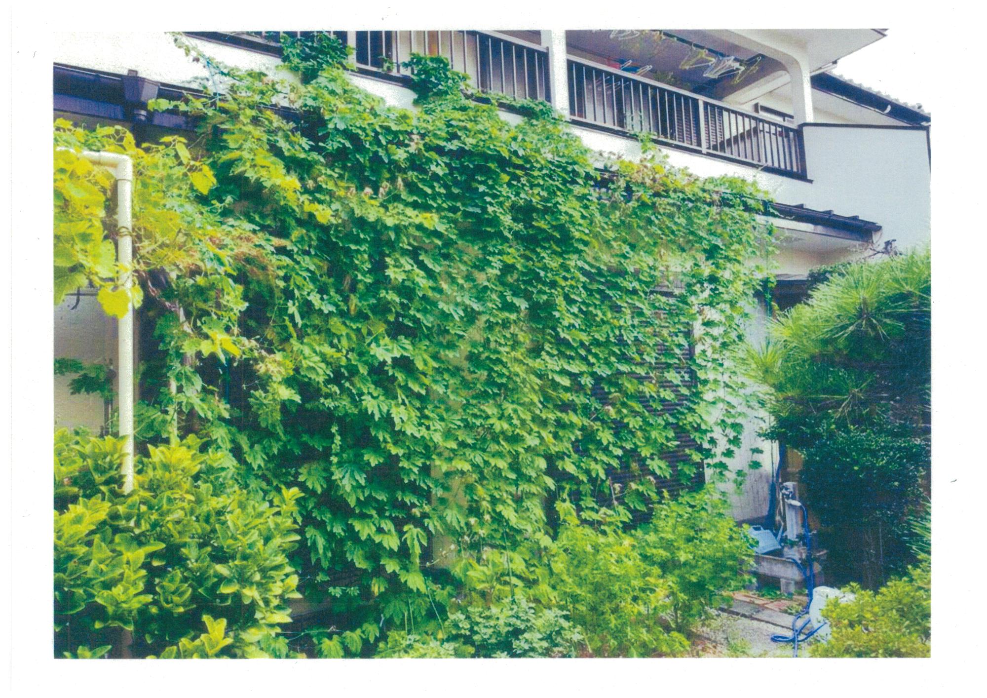 入賞 川田 みち