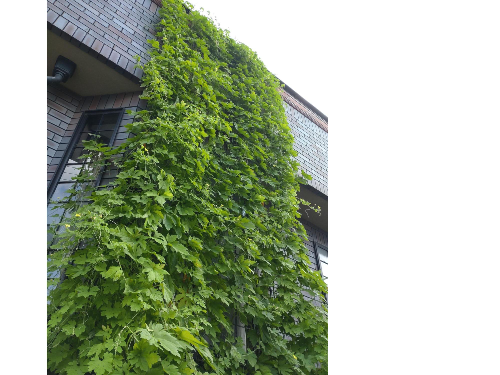 入賞 久保 敏子