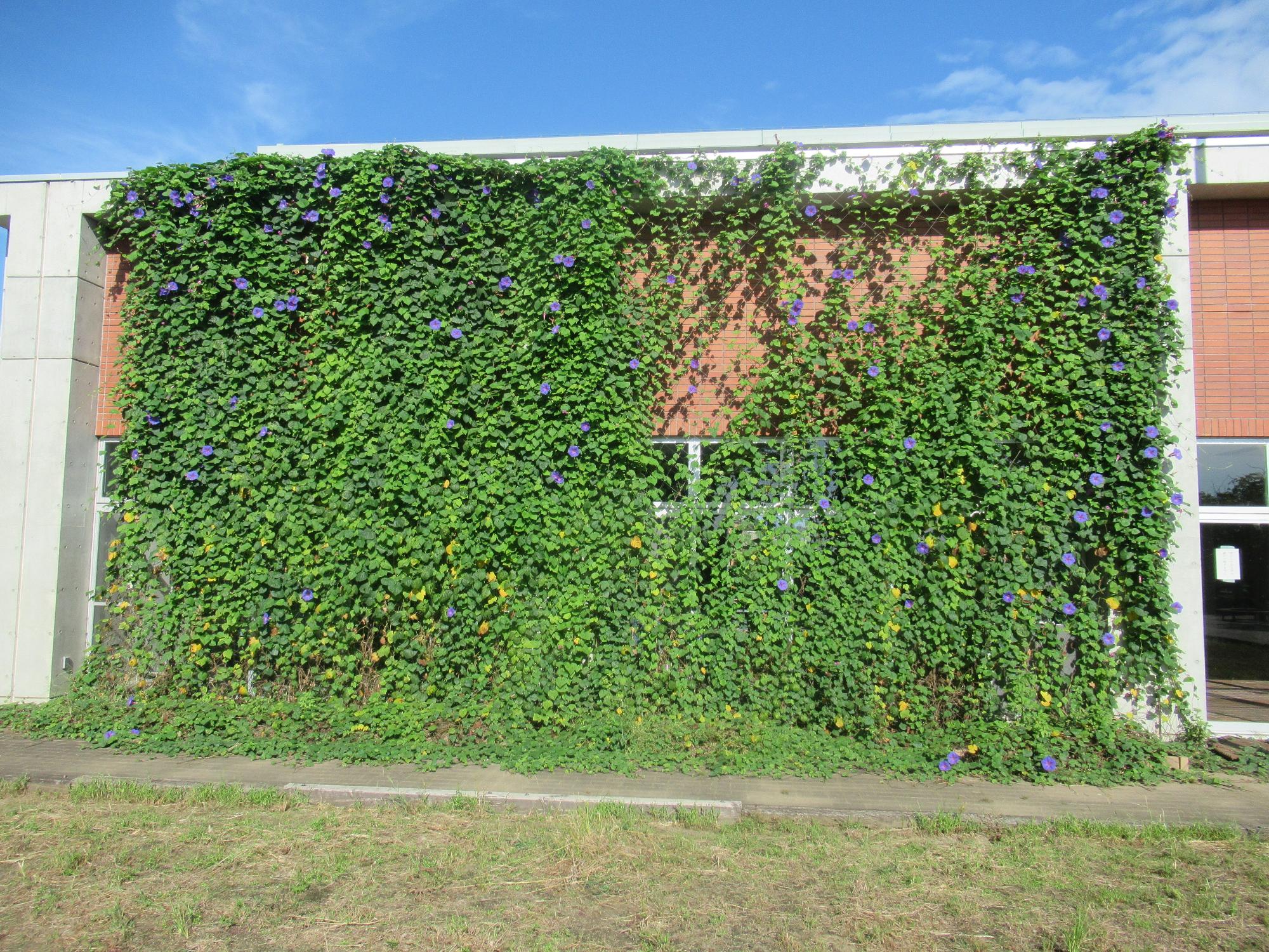 入賞 深谷市南公民館