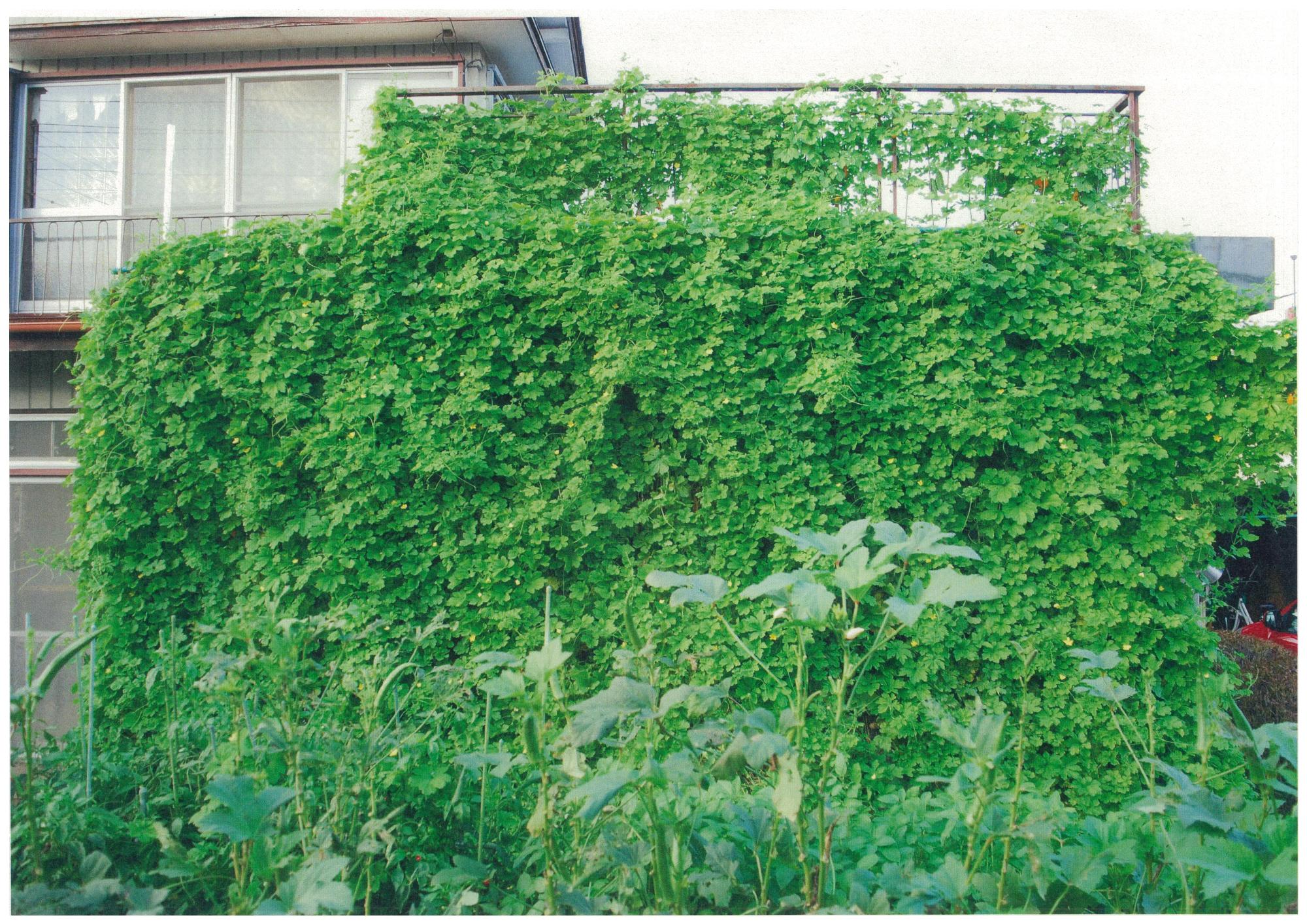 優秀賞 神尾和子