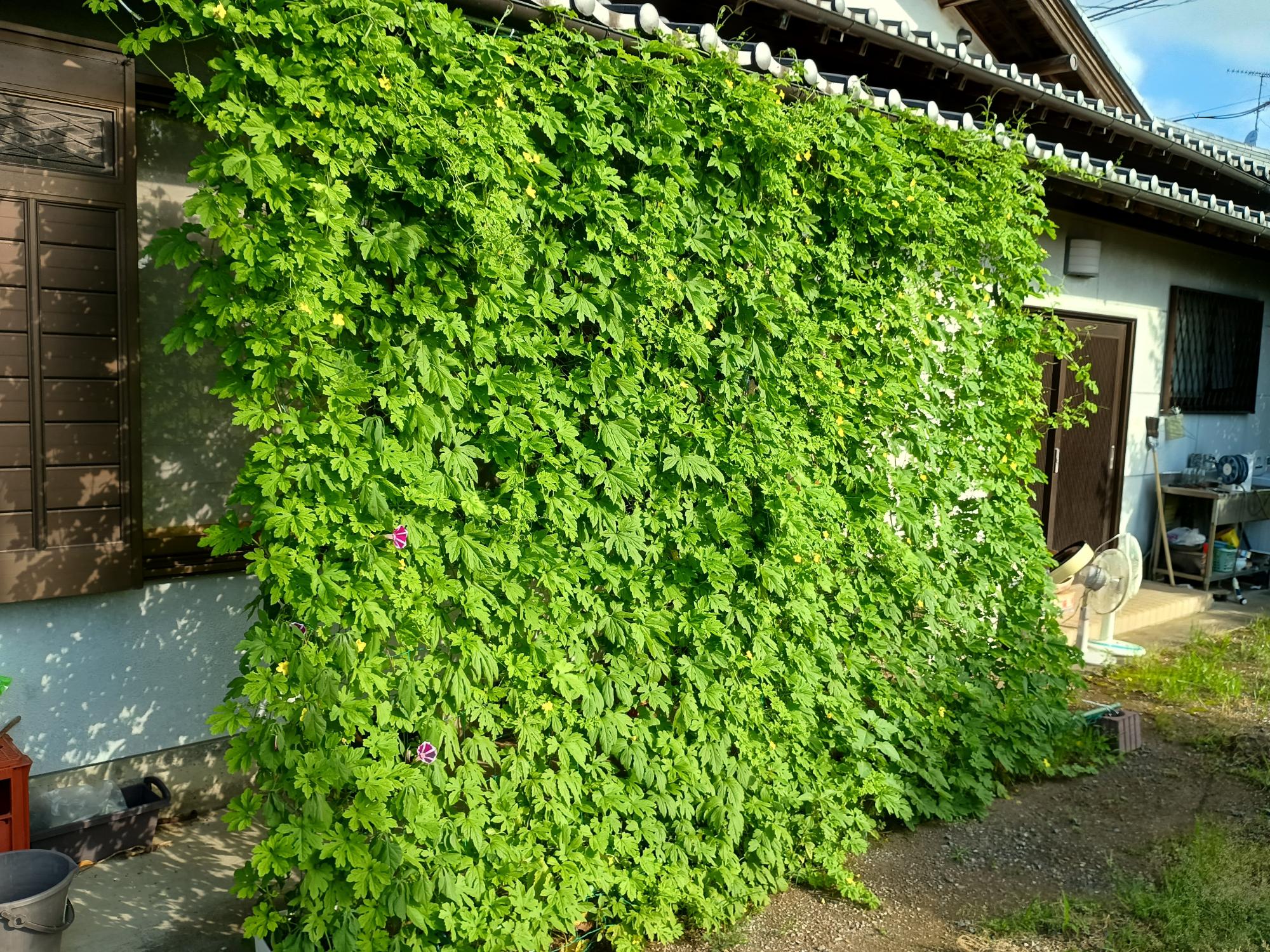 優秀賞 高山栄治