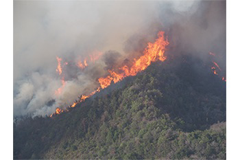 林野火災写真2