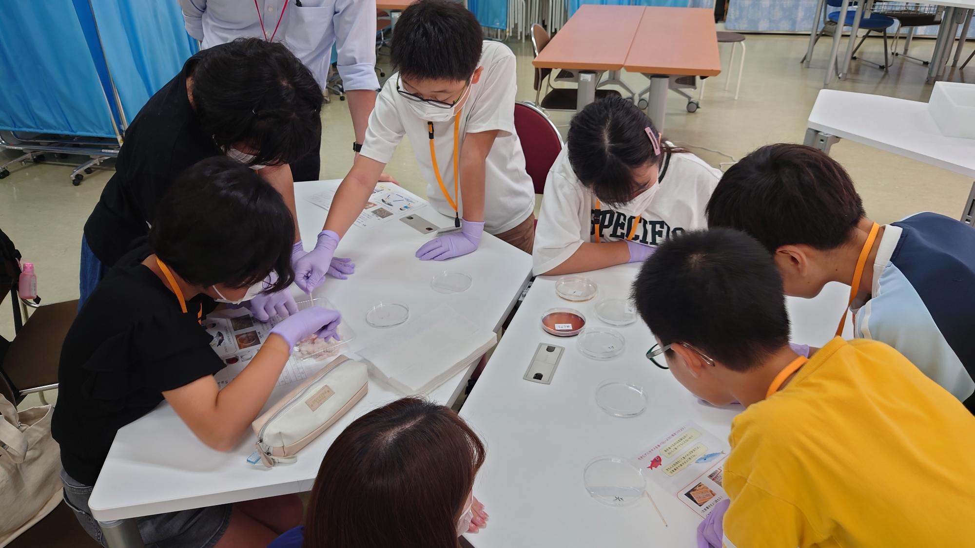 令和6年度 子ども大学ふかや 東都大学 講義風景2