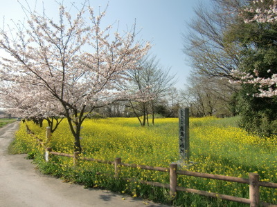 kashima