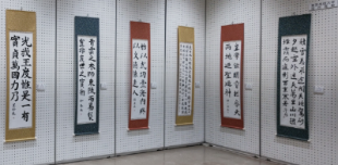 令和6年度の展示写真