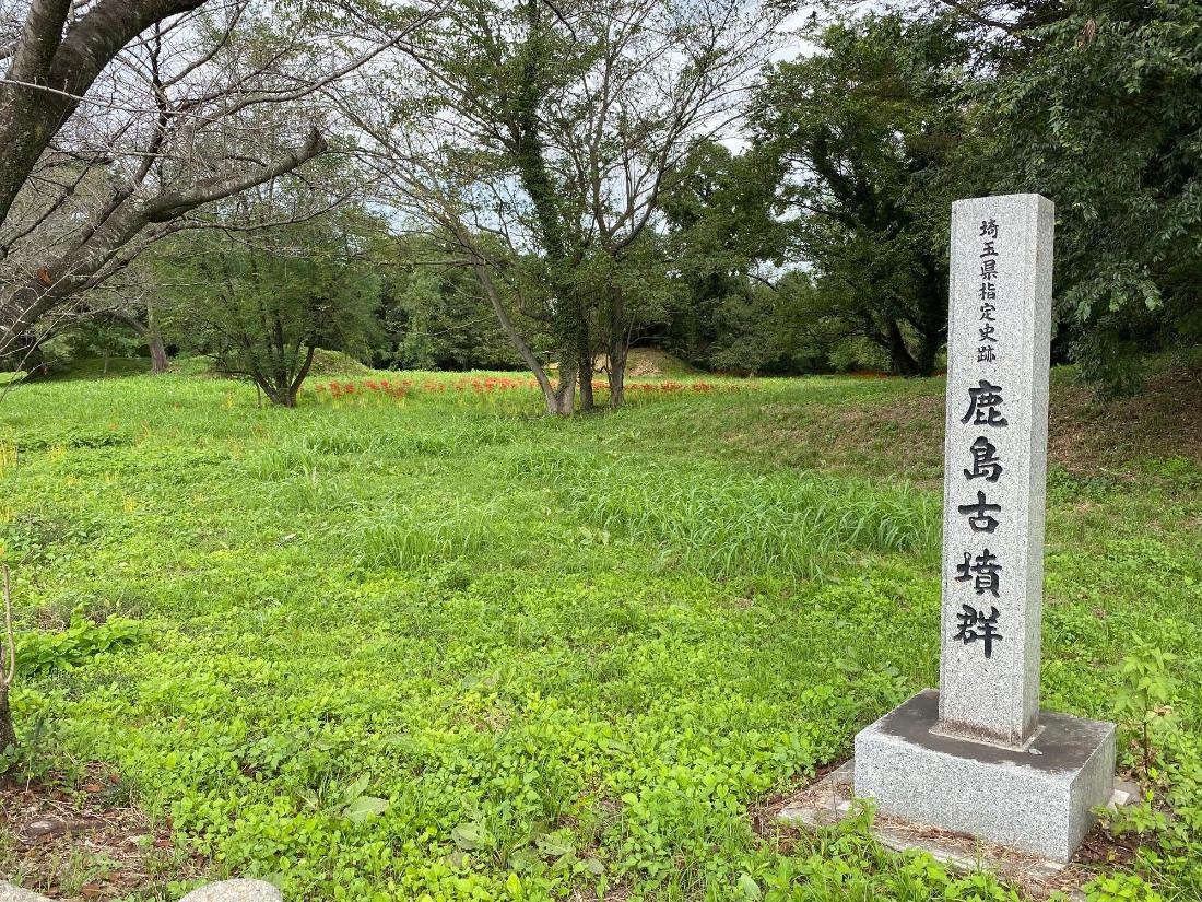 鹿島古墳群の彼岸花写真1